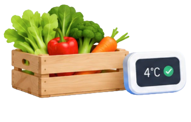 DAILY FOOD DEALS